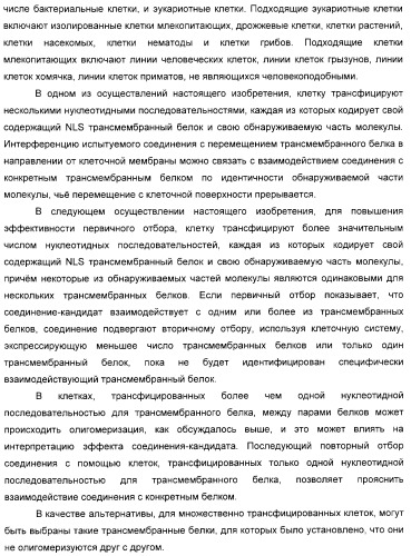 Способ идентификации соединений, взаимодействующих с трансмембранными белками (патент 2326166)