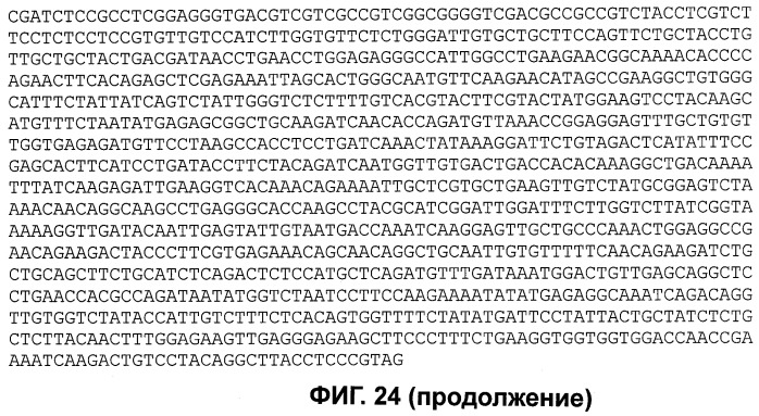 Растения, имеющие усиленные признаки, связанные с урожайностью, и способ их получения (патент 2503721)