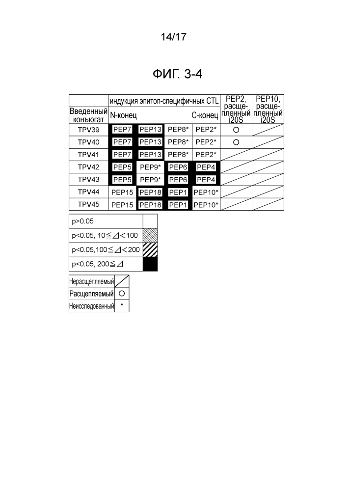 Новый пептид, имеющий 4 связанных ctl-эпитопа (патент 2636549)