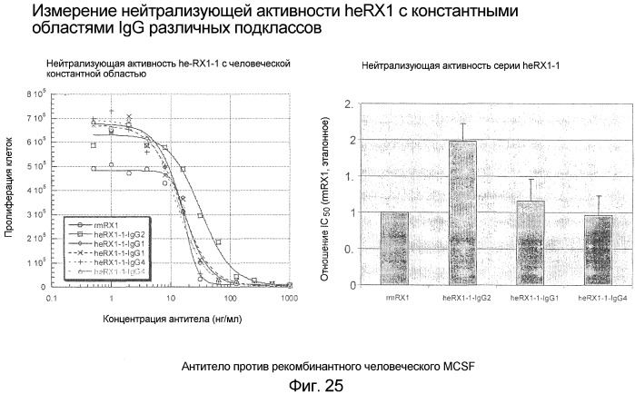 Не мышиное анти-m-csf-антитело (варианты), его получение и использование (патент 2401277)