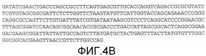 Антитела против mst1r и их применение (патент 2534890)