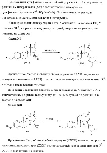 Новые ингибиторы 17 -гидроксистероид-дегидрогеназы типа i (патент 2369614)