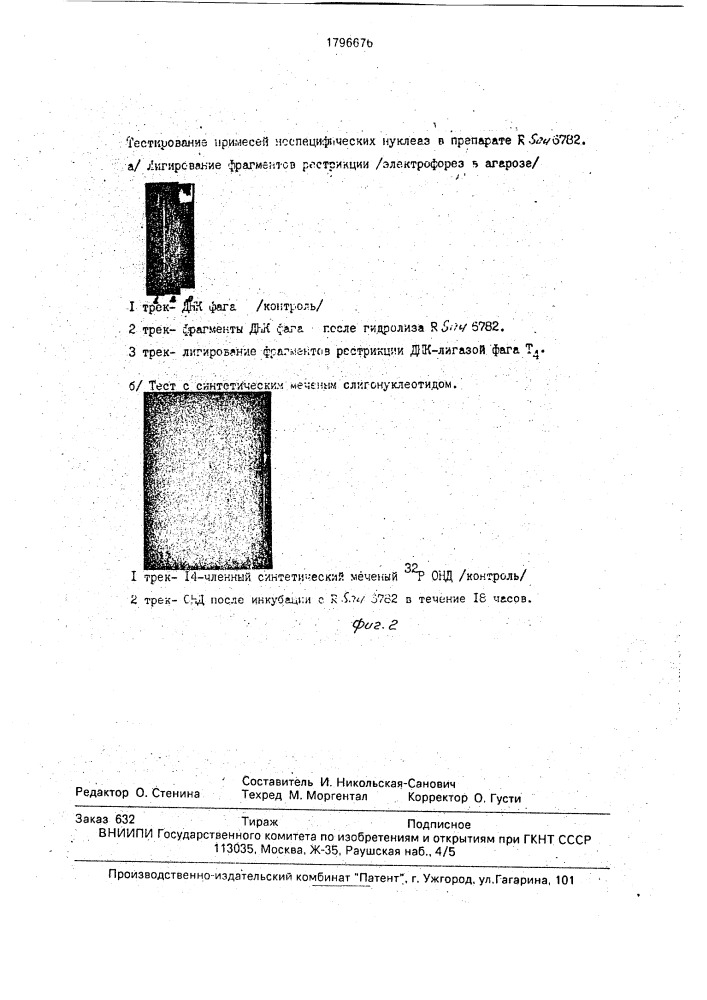 Способ получения рестриктирующей эндонуклеазы sau 6782 (патент 1796676)