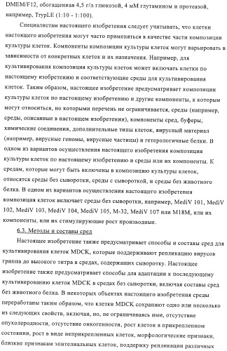 Линии клеток почки собаки майдин-дэрби (mdck), поддерживающие рост вирусов до высоких титров, и способ применения этих клеток в биореакторе (патент 2487935)