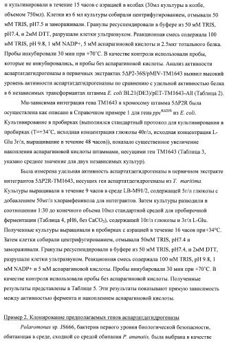 Бактерия семейства enterobacteriaceae - продуцент l-аспарагиновой кислоты или метаболитов, производных l-аспарагиновой кислоты, и способ получения l-аспарагиновой кислоты или метаблитов, производных l-аспарагиновой кислоты (патент 2472853)