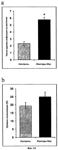 Липохитоолигосахариды, стимулирующие арбускулярно-микоризный симбиоз (патент 2539028)