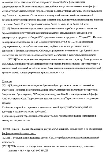 Использование фосфокетолазы для продукции полезных метаболитов (патент 2322496)