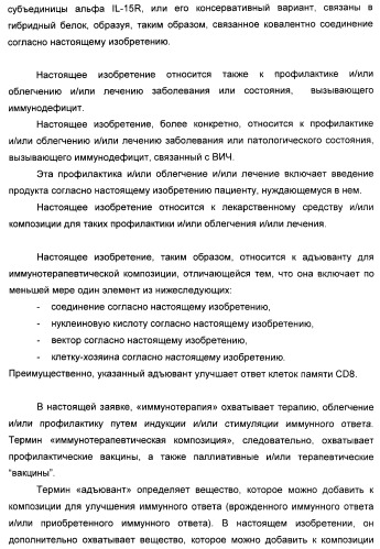 Соединение, предназначенное для стимуляции пути передачи сигнала через il-15rбета/гамма, с целью индуцировать и/или стимулировать активацию и/или пролиферацию il-15rбета/гамма-положительных клеток, таких как nk-и/или t-клетки, нуклеиновая кислота, кодирующая соединение, вектор экспрессии, клетка-хозяин, адъювант для иммунотерапевтической композиции, фармацевтическая композиция и лекарственное средство для лечения состояния или заболевания, при котором желательно повышение активности il-15, способ in vitro индукции и/или стимуляции пролиферации и/или активации il-15rбета/гамма-положительных клеток и способ получения in vitro активированных nk-и/или t-клеток (патент 2454463)