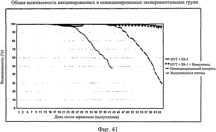 Усиленный иммунный ответ у видов птиц (патент 2570732)