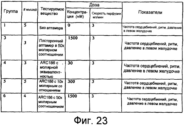 Связывающие комплемент аптамеры и средства против с5, пригодные для лечения глазных нарушений (патент 2477137)