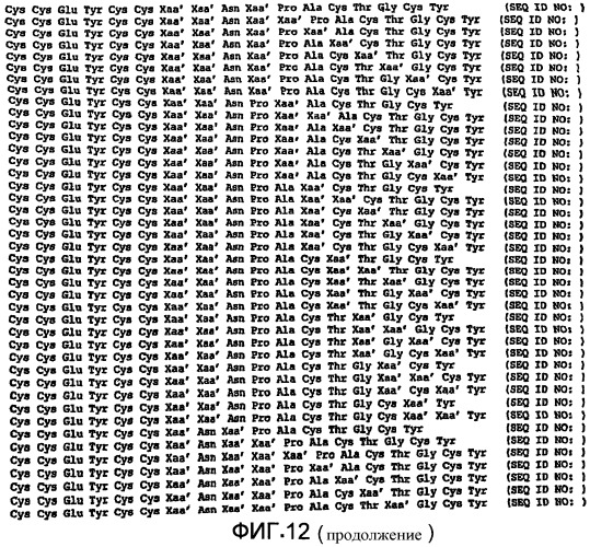 Полипептид для увеличения активности рецептора гуанилатциклазы, фармацевтическая композиция, способ лечения желудочно-кишечного расстройства у пациента, способ повышения активности рецептора гуанилатциклазы у пациента, способ лечения висцеральной боли, способ получения полипептида (варианты), изолированная молекула нуклеиновой кислоты, бактериальный вектор экспрессии и изолированная бактериальная клетка (патент 2433133)