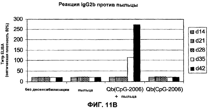 Композиции, содержащие cpg-олигонуклеотиды и вирусоподобные частицы, для применения в качестве адъювантов (патент 2322257)