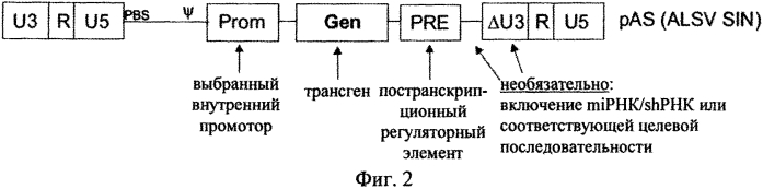 Векторная система на основе aslv (патент 2566563)