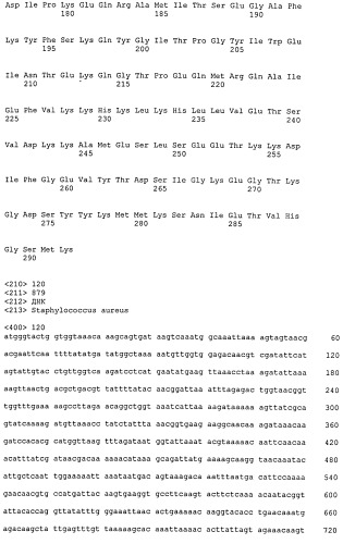 Иммуногенные композиции антигенов staphylococcus aureus (патент 2536981)