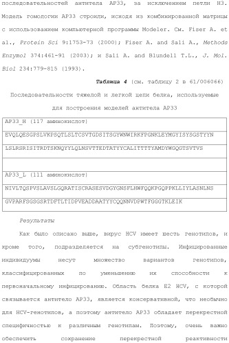 Антитела против вируса гепатита с (патент 2462475)
