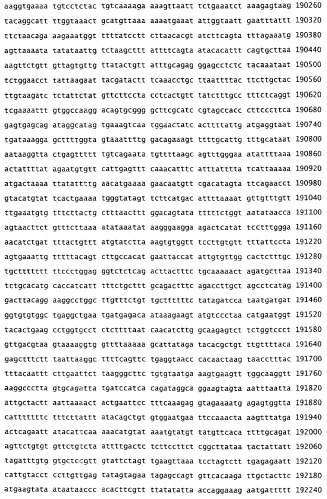 Применение s1p (патент 2362565)