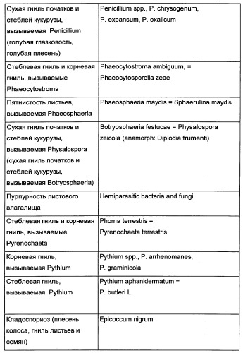 Новые последовательности нуклеиновых кислот и их применение в способах достижения устойчивости к патогенам в растениях (патент 2346985)