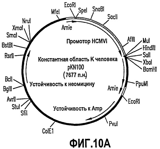 Композиции и способы связывания сфингозин-1-фосфата (патент 2460541)