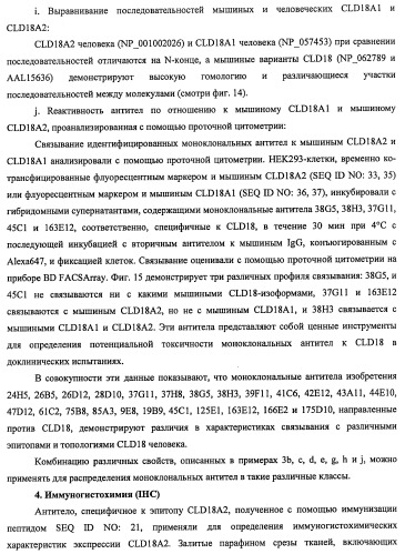 Моноклональные антитела к клаудину-18 для лечения рака (патент 2445319)
