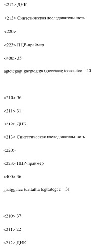 Модифицированное агонистическое антитело (патент 2295537)