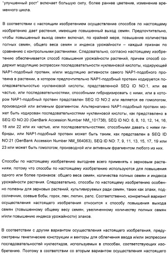 Способ повышения выхода семян растения, способ производства трансгенного растения, имеющего повышенную урожайность семян, генная конструкция для экспрессии в растении и трансгенное растение (патент 2409938)