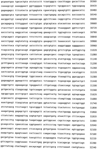 Бактериофаг, обладающий активностью против pseudomonas aeruginosa, белки бактериофага и способы их применения (патент 2580248)
