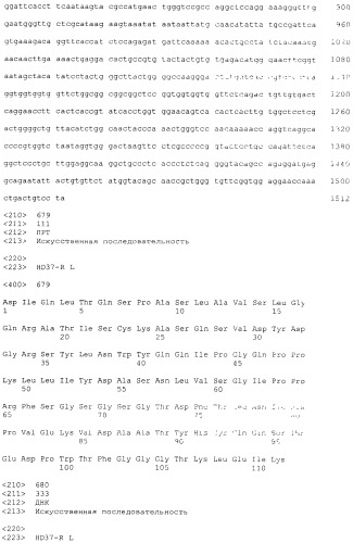 Pscaxcd3, cd19xcd3, c-metxcd3, эндосиалинxcd3, epcamxcd3, igf-1rxcd3 или fap-альфаxcd3 биспецифическое одноцепочечное антитело с межвидовой специфичностью (патент 2547600)