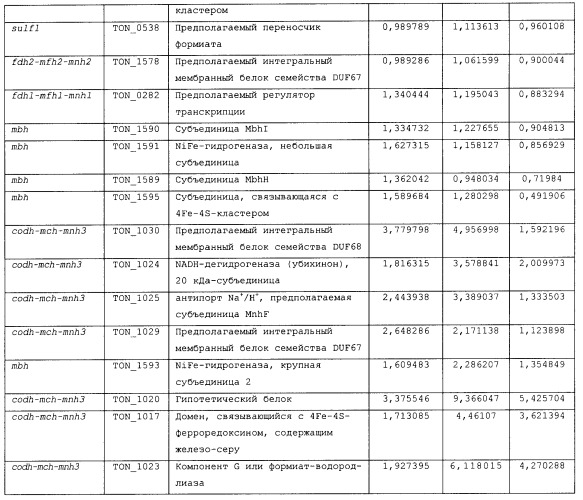 Новая гидрогеназа seq id no:5, очищенная из thermococcus onnurienus na1 с помощью моноokcида углерода, кодирующие ее гены, и способы получения водорода с использованием микроорганизма, имеющего указанные гены (патент 2460789)