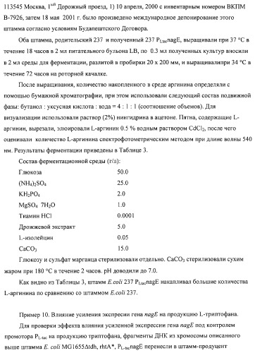 Способ получения l-аминокислот с использованием бактерии, принадлежащей к роду escherichia (патент 2312893)