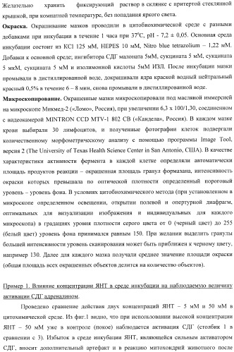 Цитобиохимический способ определения активности сукцинатдегидрогеназы, окисления эндогенной янтарной кислоты, сигнального действия микромолярных концентраций янтарной кислоты, его применение для количественной оценки уровня адренергической регуляции в организме, среда и набор для осуществления способа (патент 2364868)