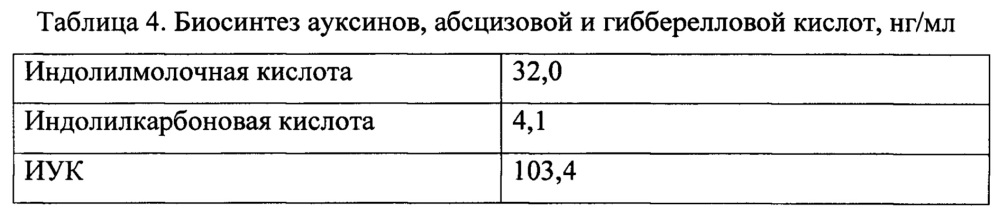 Штамм микроорганизма clonostachys rosea f. catenulata в качестве биофунгицида, стимулятора роста растений и продуцента метаболитов для сельскохозяйственного применения (патент 2644338)