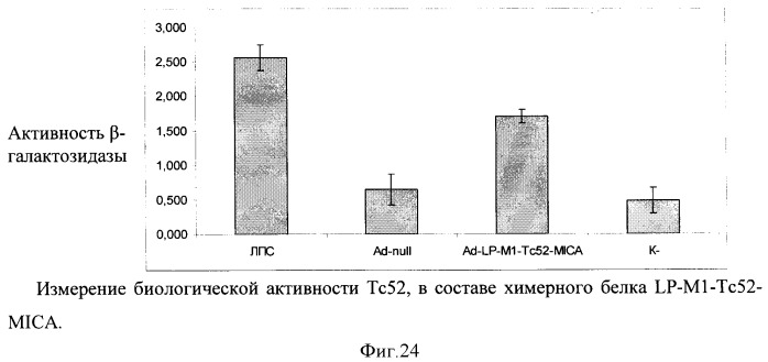 Способ получения рекомбинантной вакцины (патент 2444570)