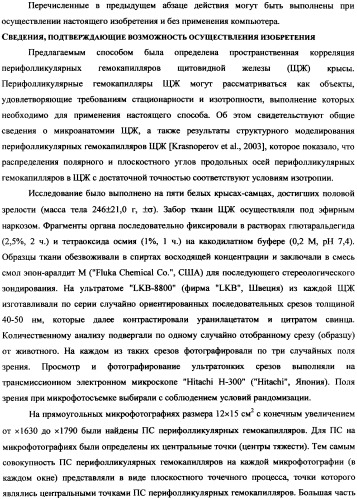 Стереологический способ определения пространственной корреляции вытянутых объектов (патент 2326441)