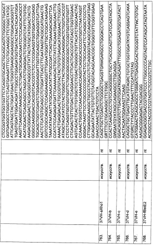 Pscaxcd3, cd19xcd3, c-metxcd3, эндосиалинxcd3, epcamxcd3, igf-1rxcd3 или fap-альфаxcd3 биспецифическое одноцепочечное антитело с межвидовой специфичностью (патент 2547600)