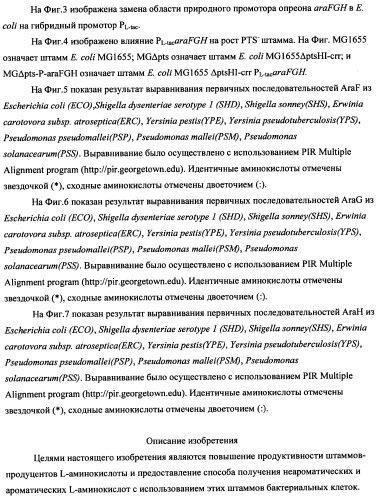 Способ получения l-треонина с использованием бактерии, принадлежащей к роду escherichia (патент 2338783)