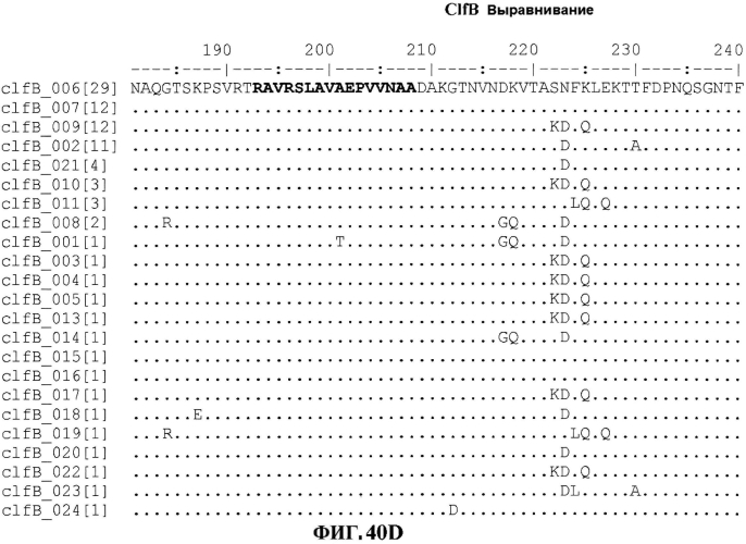 Стабильные иммуногенные композиции антигенов staphylococcus aureus (патент 2570730)