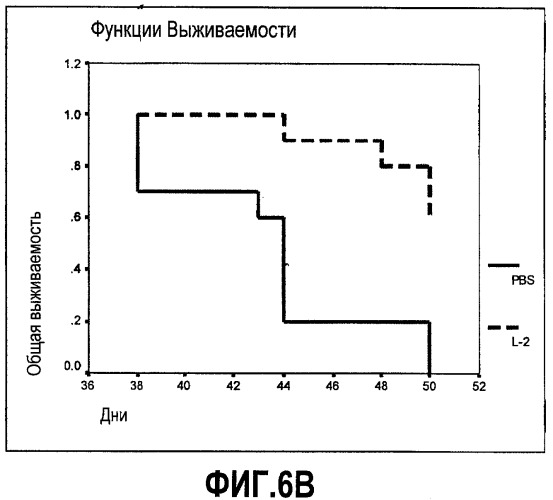 Иммуномодулирующие и противоопухолевые пептиды (патент 2430109)