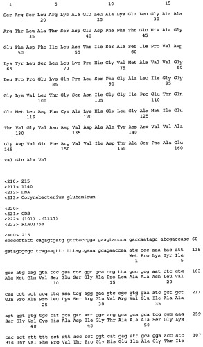 Гены corynebacterium glutamicum, кодирующие белки, участвующие в метаболизме углерода и продуцировании энергии (патент 2321634)