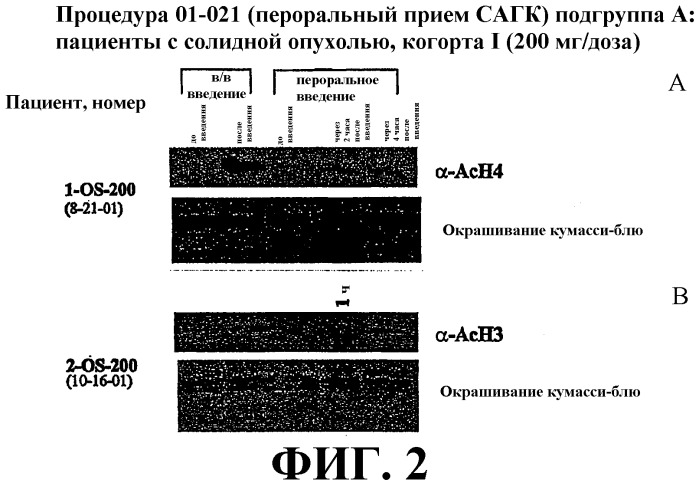 Способ индукции конечной дифференцировки (патент 2320331)