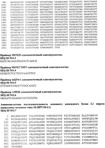 Рекомбинантный штамм дрожжей hansenula polymorpha - продуцент главного капсидного белка l1 вируса папилломы человека типа 18 (патент 2546242)