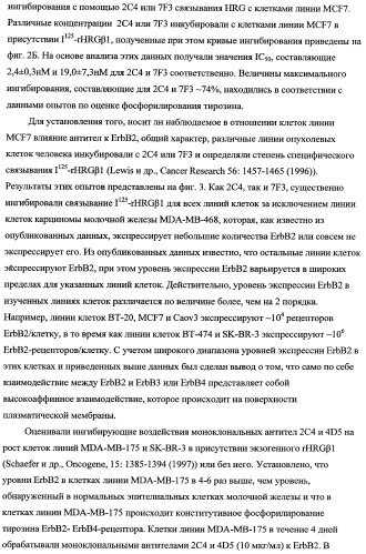 Способ лечения рака у человека (варианты), применяемая в способе форма (варианты) и применение антитела (варианты) (патент 2430739)