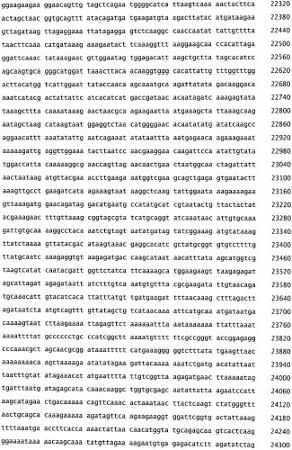 Бактериофаг, обладающий активностью против pseudomonas aeruginosa, белки бактериофага и способы их применения (патент 2580248)