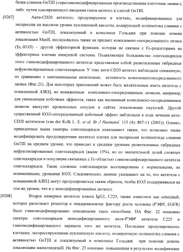 Конструкции слияния и их применение для получения антител с повышенными аффинностью связывания fc-рецептора и эффекторной функцией (патент 2407796)