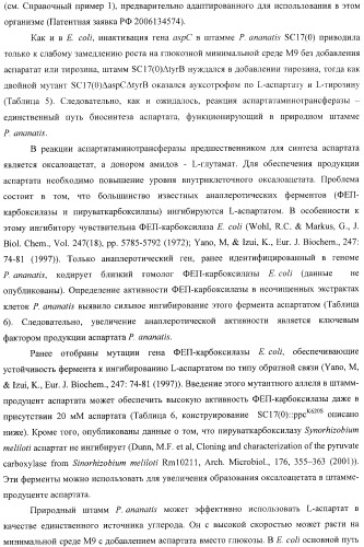 Бактерия, принадлежащая к роду pantoea, - продуцент l-аспартата или метаболита, являющегося производным l-аспартата, и способ получения l-аспартата или метаболита, являющегося производным l-аспартата (патент 2411289)