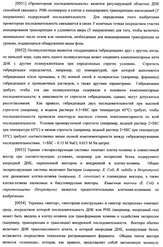 Гиалуронидаза и способ ее применения (патент 2471867)