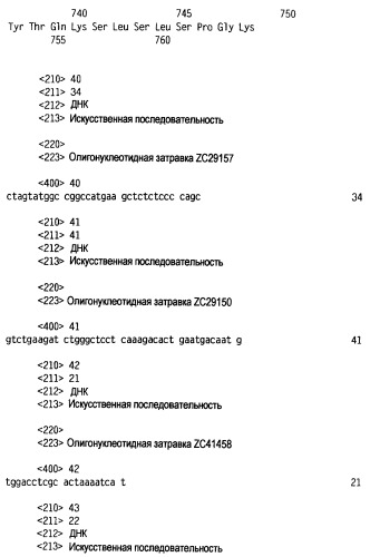 Новый лиганд рецептора цитокина zcytor17 (патент 2360923)