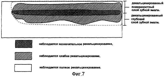 Ускоритель рекальцинирования зубной эмали, композиция для ухода за полостью рта и содержащие его пищевой продукт или напиток (патент 2396969)