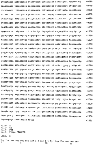 Бактериофаг, обладающий активностью против pseudomonas aeruginosa, белки бактериофага и способы их применения (патент 2580248)