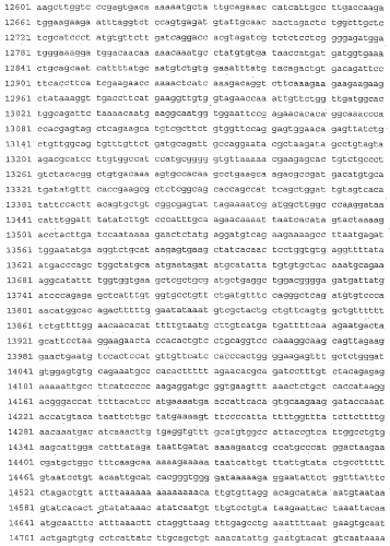 Применение s1p (патент 2362565)