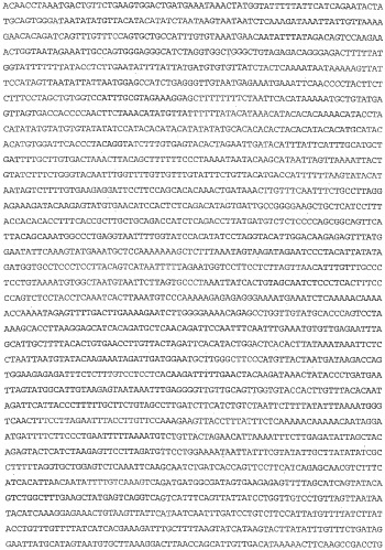 Применение s1p (патент 2362565)